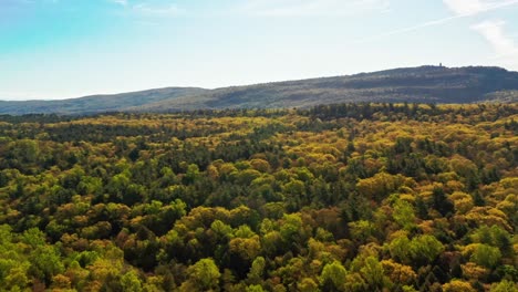 Pan-left-to-right-over-tree-tops-in-upstate-New-York,-autumn