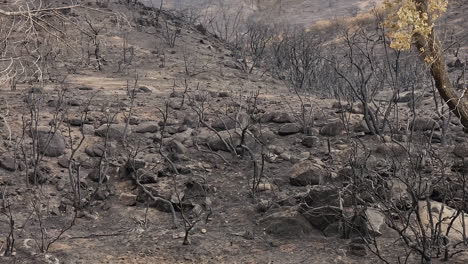 Fairview-Fire-Aftermath-Mountain-Landscape-En-Hemet,-California,-Estados-Unidos,-Septiembre-De-2022