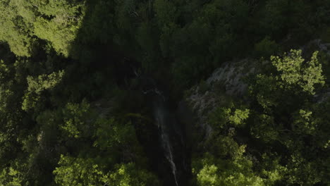Gorge-Canopied-With-Dense-Green-Foliage-In-Tropical-Rainforest-Of-Borjomi-Park,-Georgia