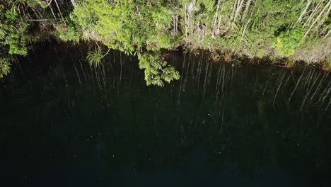 Trees-Reflecting-On-The-Calm-Water-Of-Lake-Eacham-In-Atherton-Tableland,-Queensland,-Australia---aerial-drone-shot