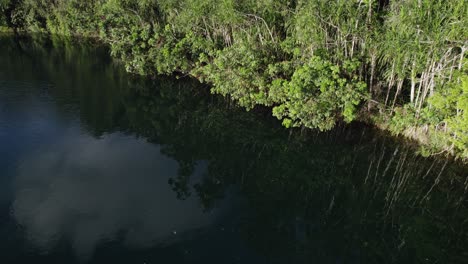 Tropical-Vegetation-At-Lake-Eacham-In-Atherton-Tableland,-Queensland,-Australia---drone-shot