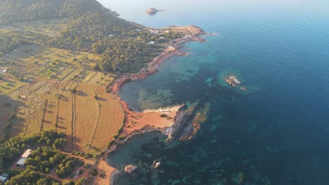 Aerial-view-of-the-Ibizan-coast-with-crystalline-waters-surrounded-by-pine-trees