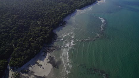Tranquil-Ocean-And-Lush-Vegetation-In-Daintree-National-Park,-Far-North-Queensland,-Australia---aerial-drone-shot