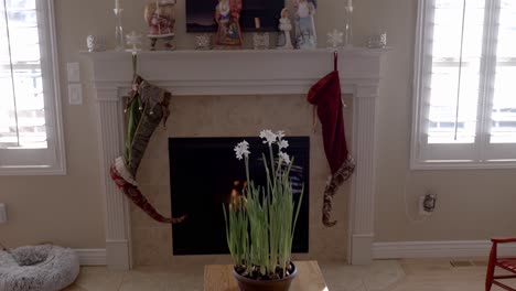Christmas-stocking-hanging-on-the-fireplace-mantel-with-narcissus-flowers-in-a-flowerpot-on-an-end-table-in-a-cozy-home