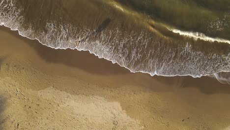 Aerial-top-view-shot-of-surfer-leaving-water-after-surfing-in-the-ocean-during-golden-sunset---La-Pedrera-Beach,Uruguay