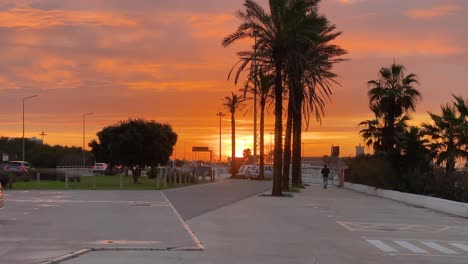 Weite-Ansicht-Der-Palmensilhouette-Mit-Rotem-Sonnenuntergang-Am-Horizont-In-Carcavelos,-Portugal