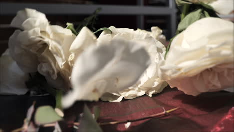 White-Roses-slow-motion-on-red-silk-backdrop