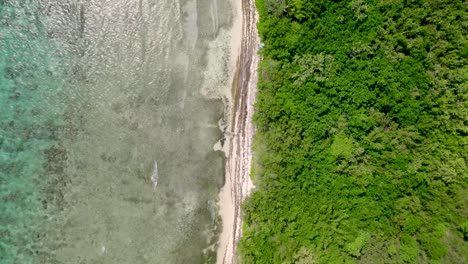 Birds-Eye-Aerial-View,-Empty-Pristine-Beach,-Caribbean-Sea-Waves-and-Rainforest-of-Saint-Thomas,-US-Virgin-Islands