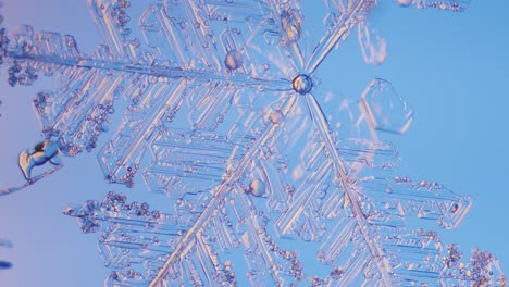 Snowflake-close-up-under-microscope-panning-view-blue-background-fine-details