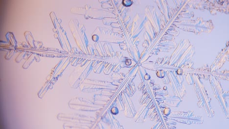 Schneeflocke-Hautnah-Unter-Dem-Mikroskop-Schwenkansicht-Blauer-Hintergrund-Feine-Details