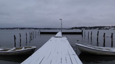 Pontoon-and-snowy-boat-with-duck-in-lake