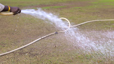 man-is-spraying-water-on-the-cricket-ground-garden-with-pipe-slow-motion