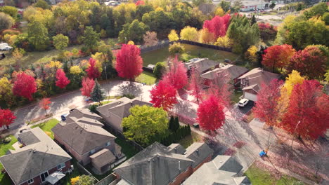 Auffällige-Farben-In-Einer-Kleinen-Gemeindestadt-In-Kanada-Während-Der-Herbstsaison