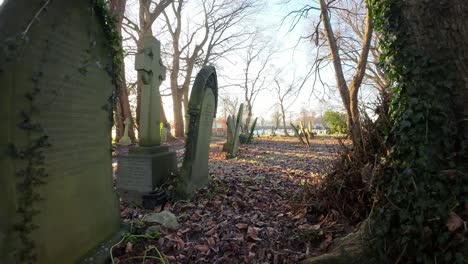 FPV-flying-around-headstones-in-snowy-autumn-sunrise-churchyard-cemetery-during-glowing-golden-hour