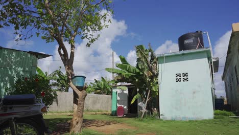 Altes-Karibisches-Haus-Mit-Palmen-In-Der-Küstenregion