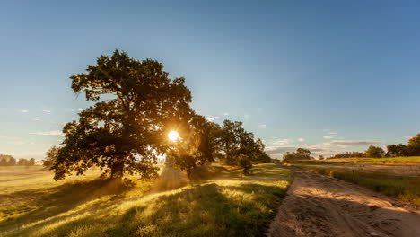 Timelapse-of-beautiful-countryside-sunrise-near-big-tree-and-country-road