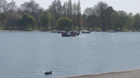 People-rowing-in-lake-in-Hyde-Park-in-London,-United-Kingdom