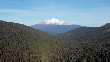Aerial:-Mount-Shasta-rising-above-forest
