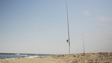 Tall-fishing-rods-lined-along-the-coastline