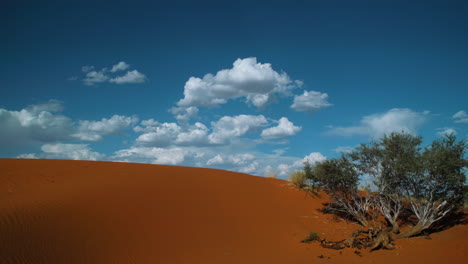Zeitraffer-Von-Wolken,-Die-Sich-Am-Nachmittag-über-Einer-Roten-Kalahari-Düne-Sammeln