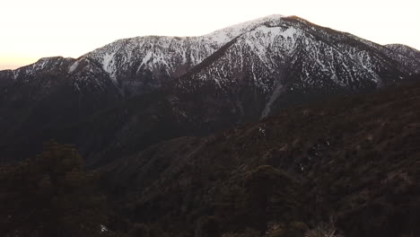 Flying-past-mountain-trees-in-Wrightwood,-California-with-snow-capped-mountains-in-background