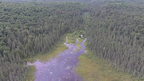Wide-Angle-of-Drone-Flying-Over-a-Lake-and-River-in-the-Summer