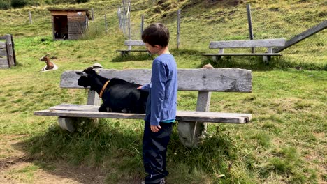 Young-boy-petting-mountain-goat-sitting-on-a-bench