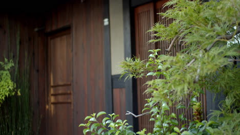 Hojas-Verdes-Frente-A-Un-Hermoso-Restaurante-Antiguo-Con-Puertas-Correderas-En-Kyoto,-Japón-Iluminación-Tenue