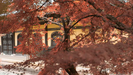 Orangefarbene-Momiji-Blätter-In-Der-Herbstsaison-Vor-Einem-Tempel-In-Kyoto,-Japan-Sanfte-Beleuchtung