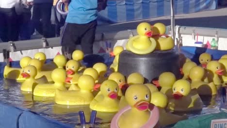 Scene-from-the-duck-ring-toss-game-at-the-NC-State-Fair,-2019