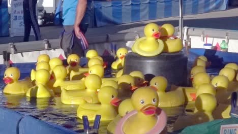 Scene-from-the-duck-ring-toss-game-at-the-NC-State-Fair,-2019