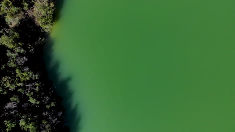 Green-deep-water-of-lake-with-calm-surface-washing-green-vegetation-banks-of-mountains,-top-down-view