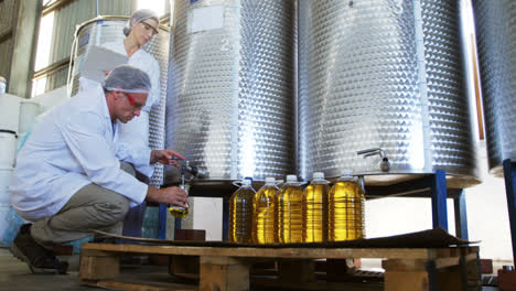 Technician-examining-olive-oil-