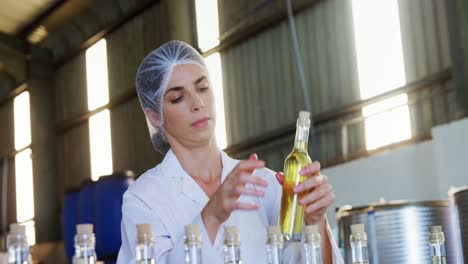 Technician-examining-olive-oil-4k