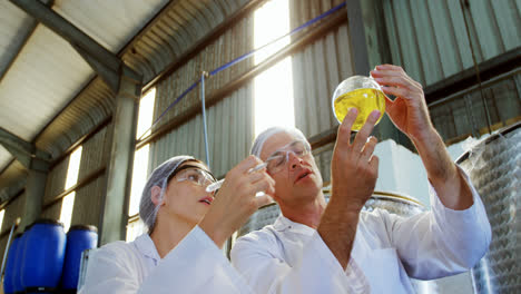 Techniker-Untersuchen-Olivenöl