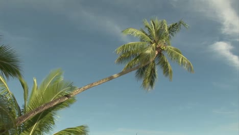 Stock-Footage-Tropical-Island