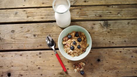 Muesli-and-blueberries-in-bowl-with-glass-of-milk-4k