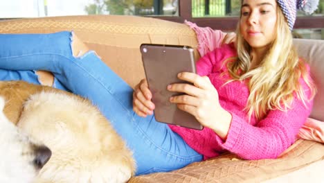 Woman-stroking-her-dog-while-using-digital-tablet-on-sofa-4k