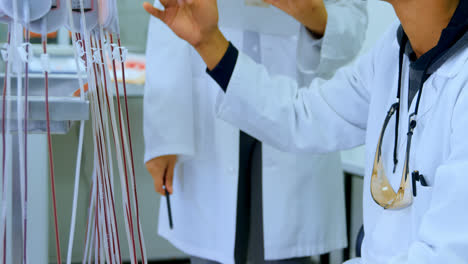 Laboratory-technicians-analyzing-blood-bags-4k