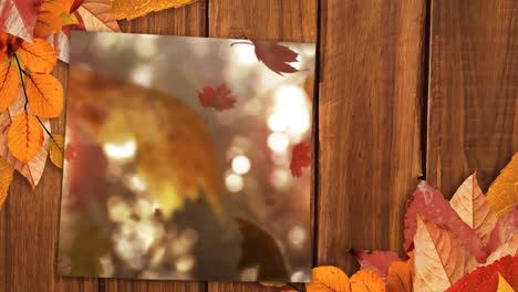 Autumn-leaf-falling-on-wooden-table-4k