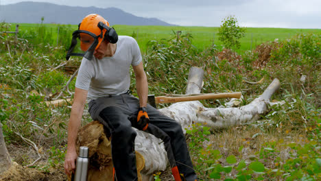 Lumberjack-relaxing-on-tree-stump-4k