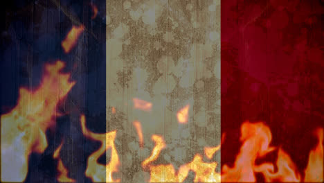 Französische-Flagge-Wird-Durch-Feuer-Niedergebrannt