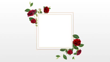 Border-design-with-pretty-red-roses-