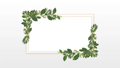 Photo-frame-for-copy-space-with-decorative-plant