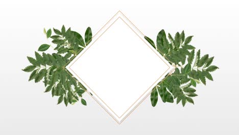 photo-frame-for-copy-space-with-decorative-plant