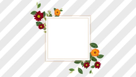 Border-design-with-pretty-red-and-orange-gerbera-daisies-