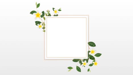 Bordürendesign-Mit-Hübschen-Weißen-Und-Gelben-Blumen