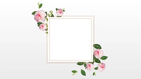 Border-design-with-pretty-peonies-