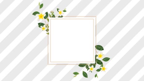 Border-design-with-pretty-white-and-yellow-flowers-and-grey-and-white-stripes