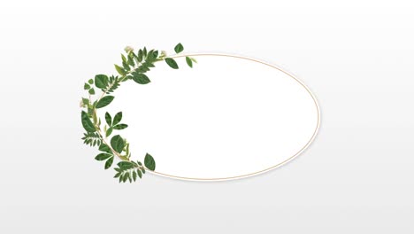 Photo-frame-for-copy-space-with-decorative-plants